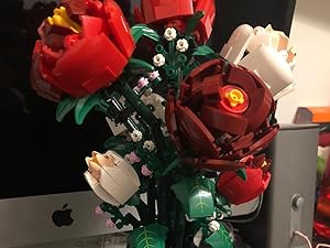 best rose toy legos for boys age 4-7  roses bouquet 2024 succulents